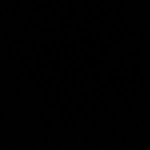 Meet your Posher, Lena